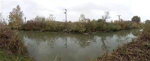 Pohľad na časť TML Číčovské rybníky, JV periferný kanál. Biotop Castor fiber, foto: 9.11.2022, J.Lengyel.