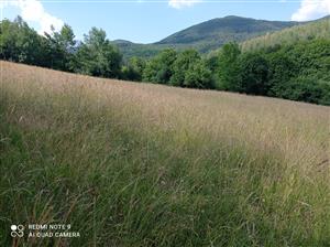 Pohľad na lokalitu.