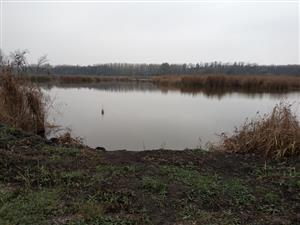 Pohľad na centrálnu časť TML Rybníky Pusté Úľany, foto: 15.11.2022, J.Lengyel
