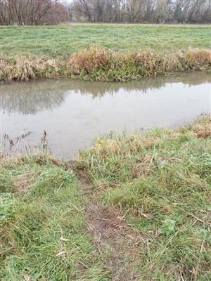 Chodníček využívaný Lutra lutra, perifer. kanál TML Pusté Úľany, rybníky, foto: 15.11.2022, J.Lengyel.
