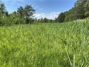 pohľad na monitorovaciu lokalitu