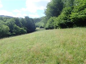 Pohľad na lokalitu - západná časť