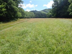 Pohľad na lokalitu - východná časť