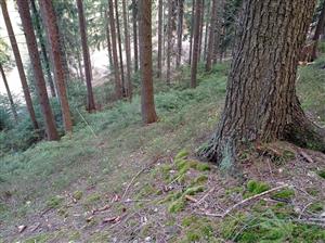 Pohlad na lokalitu