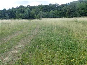 Pohľad na lokalitu - poľná cesta