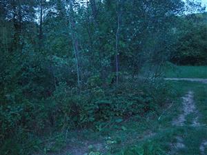lokalita
