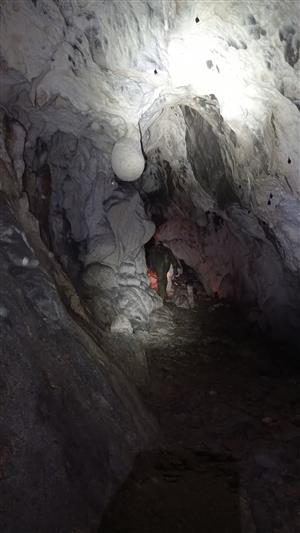 jaskyňa Javorina