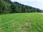 Nížinné a podhorské kosné lúky (10.6.2014)