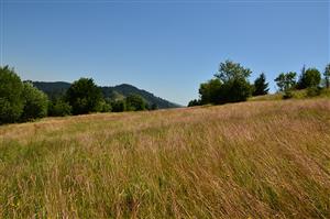 Čast lokality neovplivnená aktivitami