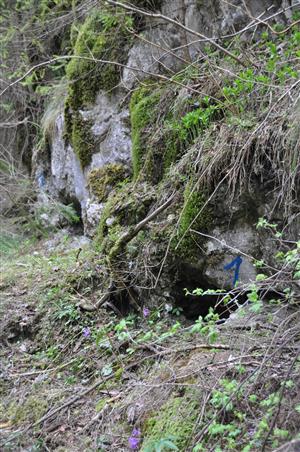 Pohled na jeden z mála skalních biotopů na lokalitě