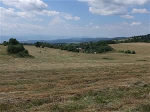 Pohľad na biotop-pokosená časť