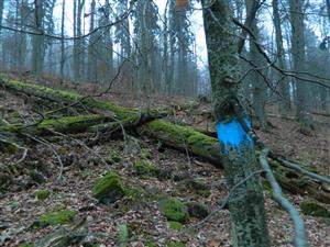 TMP Dežmová Poľana 045