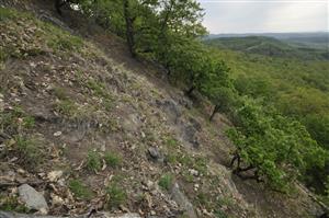 Na strmých svahoch s plytkou kamenistou pôdou sa prejavuje erózia pôdy spôsobená zdupávaním lesnou zverou