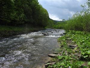 lokalita