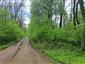 plocháč červený (22.4.2023)