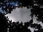 Teplomilné panónske dubové lesy (30.5.2022)