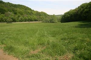 Celkový pohľad na biotop smerom na SSZ