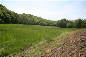 Celkový pohľad na biotop smerom na J