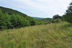 pohlad na lokalitu 2