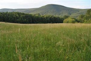 pohlad na lokalitu 2