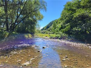 Vlára H.Sŕnie dole prúdom