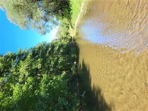 Vlára H.Sŕnie hore prúdom