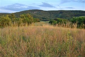 pohlad na lokalitu 2