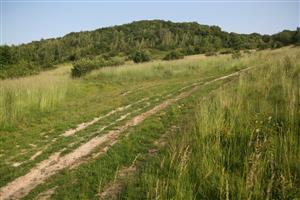 Celkový pohľad na časť biotopu smerom na JV