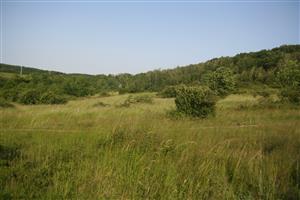 Celkový pohľad na časť biotopu smerom na V