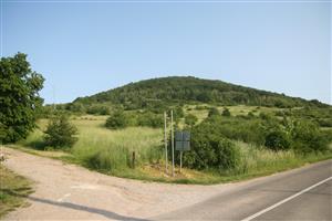 Celkový pohľad na biotop smerom na J