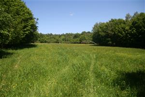 Celkový pohľad na biotop smerom na S