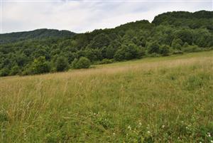 pohlad na lokalitu 2