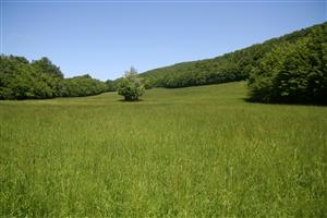 Celkový pohľad na biotop smerom na S