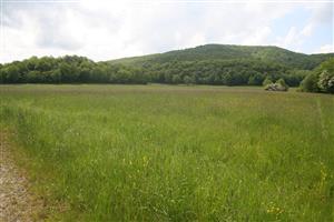 Celkový pohľad na biotop smerom na JZ