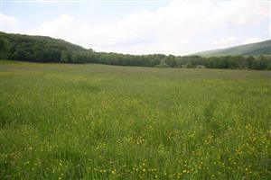 Celkový pohľad na biotop smerom na S