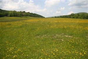Celkový pohľad na biotop smerom na S