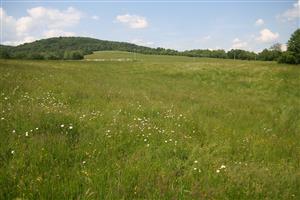 Celkový pohľad na biotop smerom na S