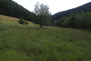 Celkový pohľad na TML, ako predch. mapovanie.