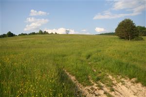 Celkový pohľad na biotop smerom na SV