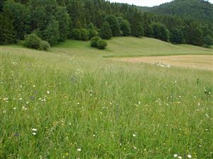 pohlad na lokalitu 2