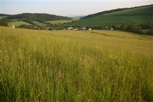 Celkový pohľad na biotop smerom na JJV