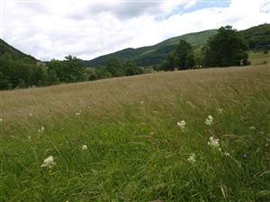 Zliechov pri dedine - pohľad na lokalitu