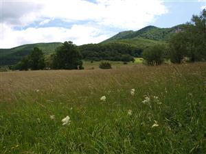 Zliechov pri dedine, pohľad na lokalitu2