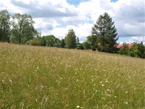 Zliechov pri dedine, pohľad na lokalitu4