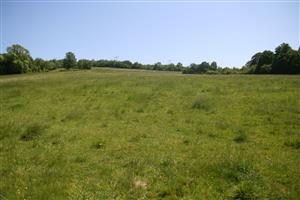 Celkový pohľad na biotop smerom na JV