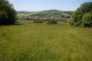 Celkový pohľad na biotop smerom na Z