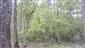 Teplomilné panónske dubové lesy (30.5.2023)