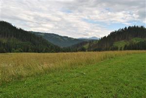 pohlad na lokalitu 1