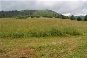 pohlad na  lokalitu 2