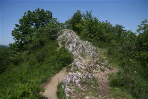 Pohľad na časť hrebeňa, smerom na S